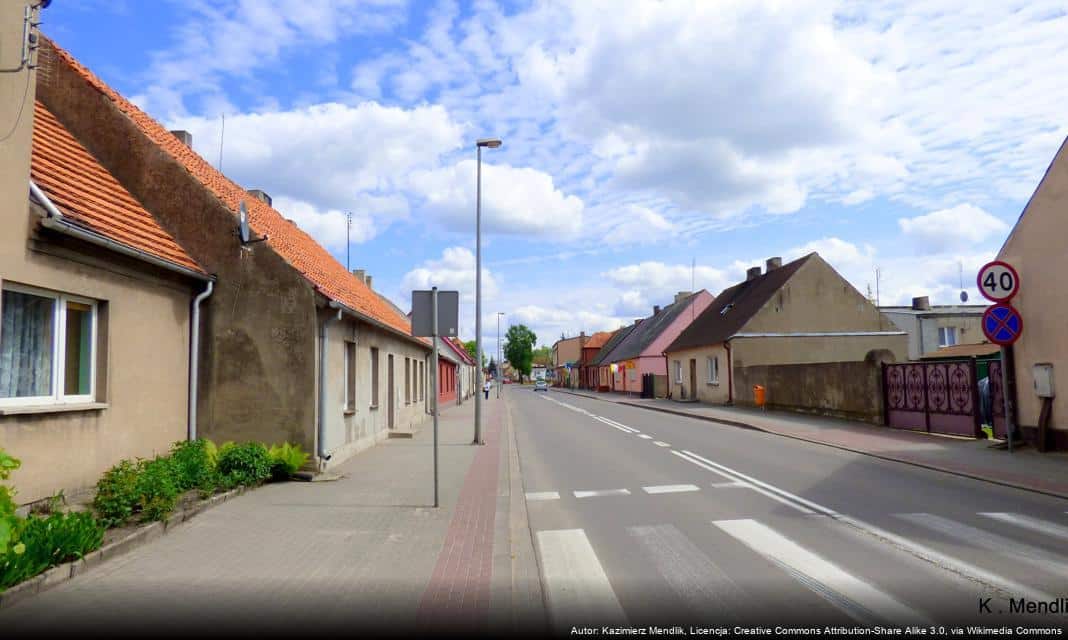 Podanie do publicznej wiadomości wykazu nieruchomości w Żychlinie